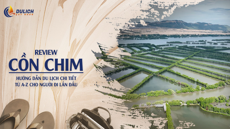 Kinh Nghiệm Du Lịch Cồn Chim Quy Nhơn Tự Túc Từ A Đến Z