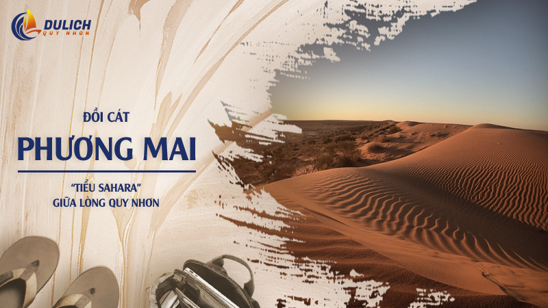 Khám Phá Đồi Cát Phương Mai “Tiểu Sa Mạc” Gần Kỳ Co Quy Nhơn